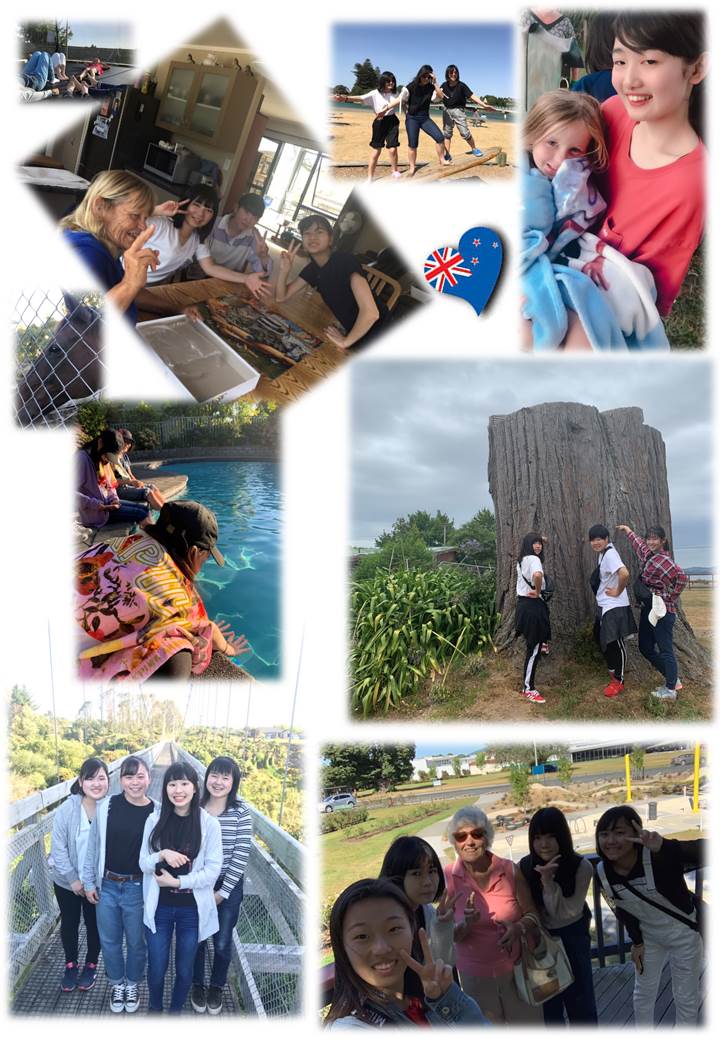 2学年修学旅行 Nz ファームステイ Perfect Ver Topics Information 浦和麗明高校